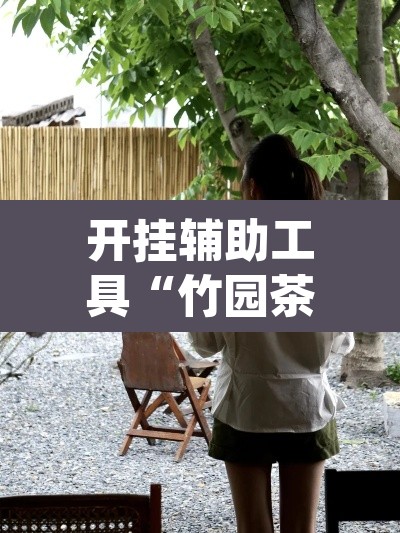 开挂辅助工具“竹园茶楼可以开挂吗”(透视挂)辅助透视教程