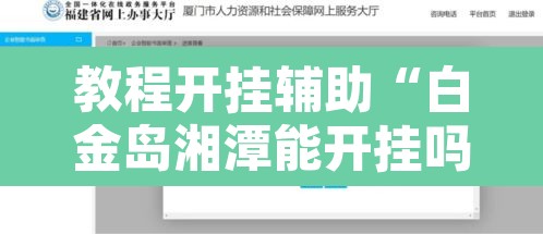 教程开挂辅助“白金岛湘潭能开挂吗”开挂辅助脚本+详细开挂安装教程