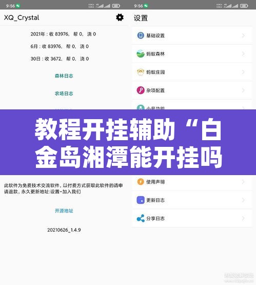 教程开挂辅助“白金岛湘潭能开挂吗”开挂辅助脚本+详细开挂安装教程