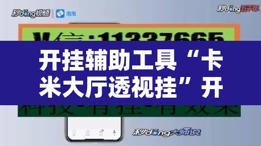 开挂辅助工具“卡米大厅透视挂”开挂辅助脚本+详细开挂安装教程