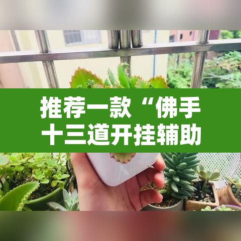 推荐一款“佛手十三道开挂辅助软件”其实确实有挂