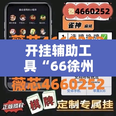 开挂辅助工具“66徐州麻将开挂神器下载”附辅助神器开挂脚本详细步骤
