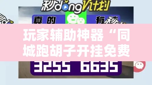 玩家辅助神器“同城跑胡子开挂免费软件	”开挂辅助脚本+详细开挂安装教程