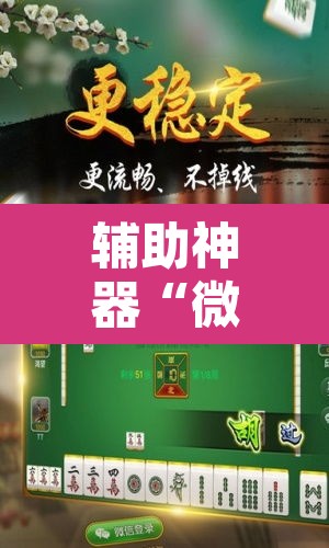 辅助神器“微乐江苏麻将万能开挂器通用版”其实确实有挂