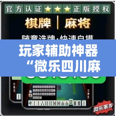 玩家辅助神器“微乐四川麻将外卦神器下载	”其实确实有挂