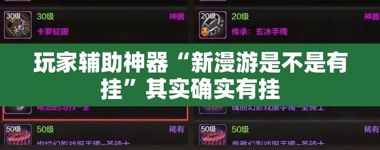 玩家辅助神器“新漫游是不是有挂”其实确实有挂