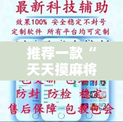 推荐一款“天天摸麻将开挂器”开挂辅助脚本+详细开挂安装教程