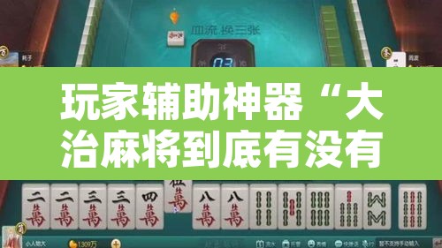 玩家辅助神器“大治麻将到底有没有挂”其实确实有挂