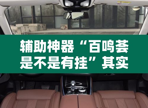 辅助神器“百鸣荟是不是有挂”其实确实有挂