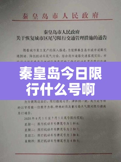 秦皇岛今日限行什么号啊:秦皇岛今日限行车牌号 秦皇岛今日限行什么号啊:秦皇岛今日限行车牌号