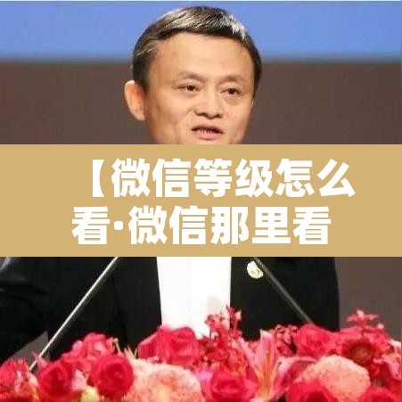 【微信等级怎么看·微信那里看等级】