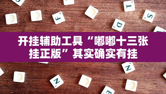 开挂辅助工具“嘟嘟十三张挂正版”其实确实有挂
