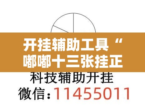 开挂辅助工具“嘟嘟十三张挂正版”其实确实有挂