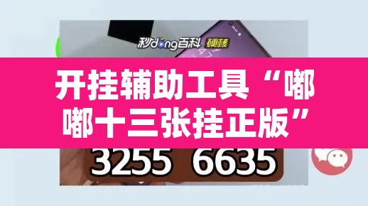 开挂辅助工具“嘟嘟十三张挂正版	”其实确实有挂