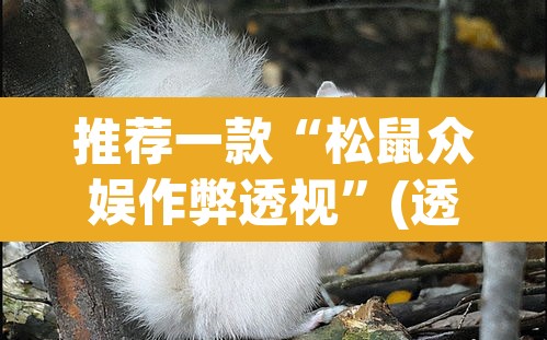 推荐一款“松鼠众娱作弊透视	”(透视)其实确实有挂