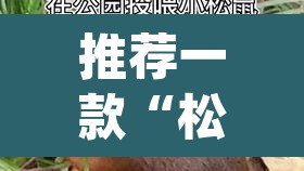 推荐一款“松鼠众娱作弊透视”(透视)其实确实有挂