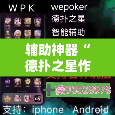 辅助神器“德扑之星作弊透视免费”(透视挂)辅助透视教程