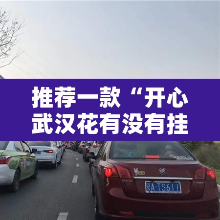 推荐一款“开心武汉花有没有挂	”其实确实有挂