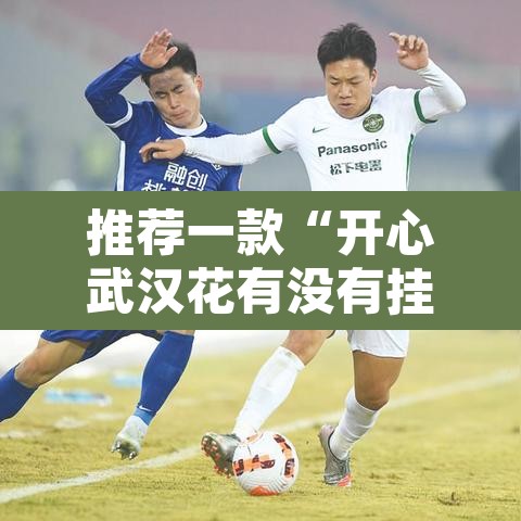 推荐一款“开心武汉花有没有挂”其实确实有挂