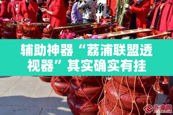辅助神器“荔浦联盟透视器”其实确实有挂