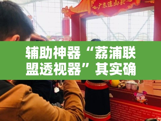 辅助神器“荔浦联盟透视器”其实确实有挂