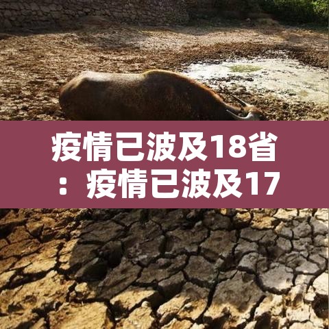 疫情已波及18省：疫情已波及17省份