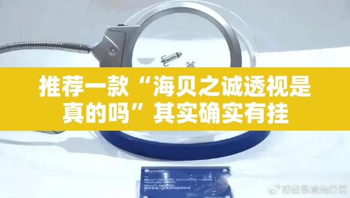 推荐一款“海贝之诚透视是真的吗”其实确实有挂