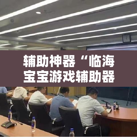 辅助神器“临海宝宝游戏辅助器”其实确实有挂