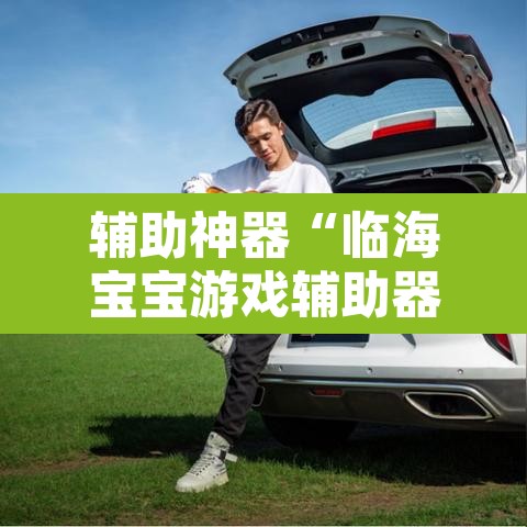 辅助神器“临海宝宝游戏辅助器	”其实确实有挂
