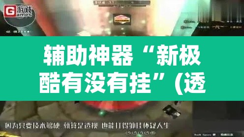 辅助神器“新极酷有没有挂”(透视)其实确实有挂