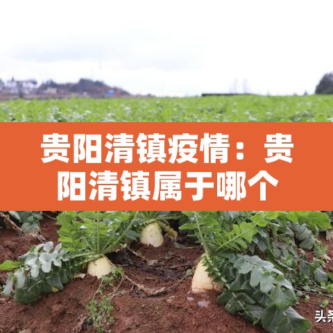 贵阳清镇疫情:贵阳清镇属于哪个区 贵阳清镇疫情:贵阳清镇属于哪个区