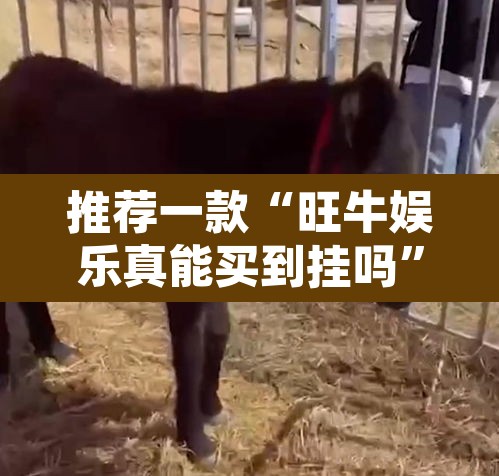 推荐一款“旺牛娱乐真能买到挂吗	”其实确实有挂