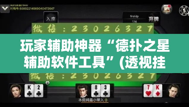 玩家辅助神器“德扑之星辅助软件工具”(透视挂)辅助透视教程