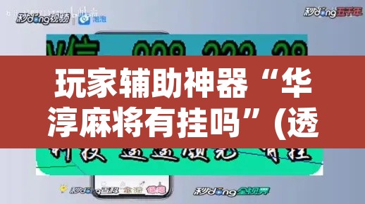 玩家辅助神器“华淳麻将有挂吗”(透视挂)辅助透视教程