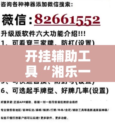 开挂辅助工具“湘乐一直输怎么办”开挂辅助脚本+详细开挂安装教程