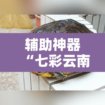 辅助神器“七彩云南麻将开挂神器下载	”其实确实有挂