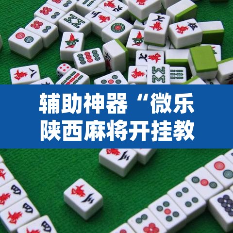 辅助神器“微乐陕西麻将开挂教程”(透视挂)辅助透视教程