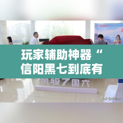 玩家辅助神器“信阳黑七到底有没有挂”(透视)其实确实有挂