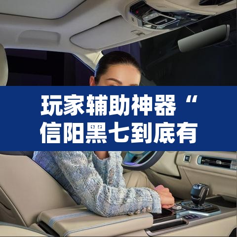 玩家辅助神器“信阳黑七到底有没有挂	”(透视)其实确实有挂