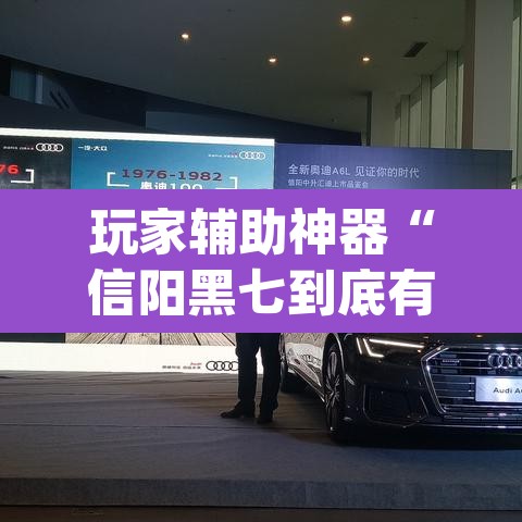 玩家辅助神器“信阳黑七到底有没有挂”(透视)其实确实有挂