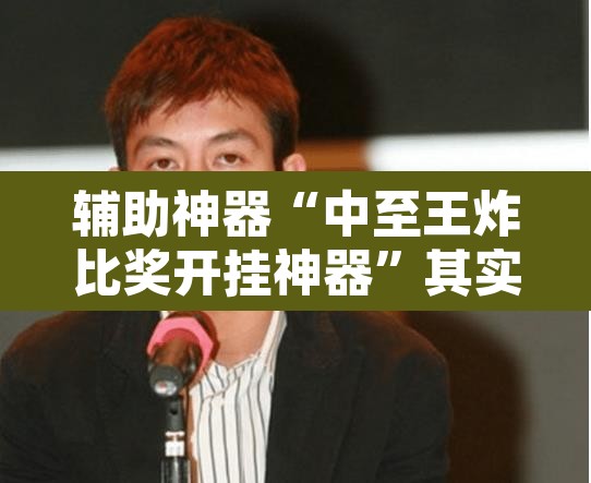 辅助神器“中至王炸比奖开挂神器”其实确实有挂