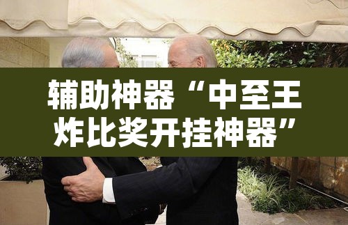 辅助神器“中至王炸比奖开挂神器”其实确实有挂