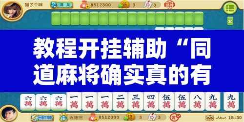 教程开挂辅助“同道麻将确实真的有挂”其实确实有挂