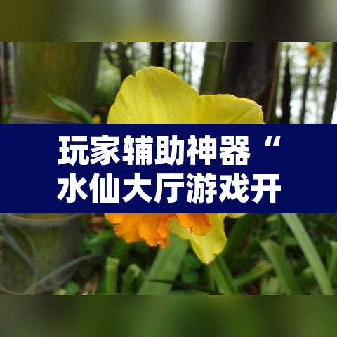 玩家辅助神器“水仙大厅游戏开挂辅助器	”其实确实有挂