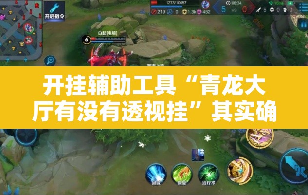 开挂辅助工具“青龙大厅有没有透视挂”其实确实有挂