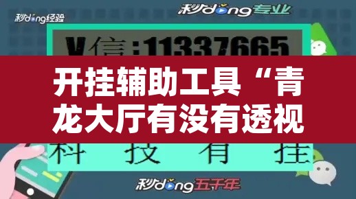 开挂辅助工具“青龙大厅有没有透视挂	”其实确实有挂