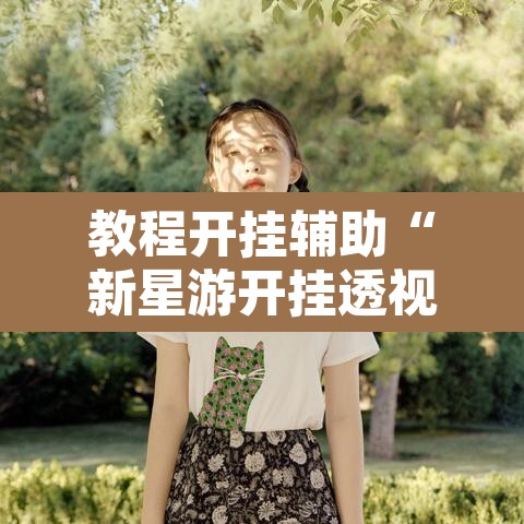 教程开挂辅助“新星游开挂透视辅助软件”其实确实有挂
