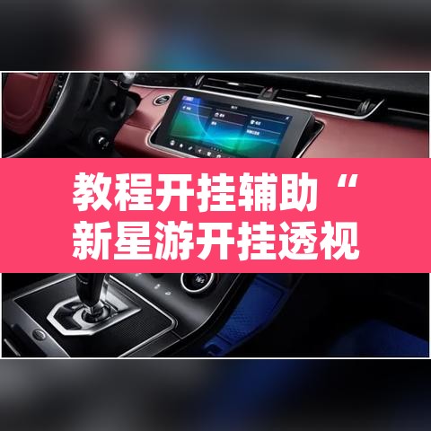 教程开挂辅助“新星游开挂透视辅助软件”其实确实有挂