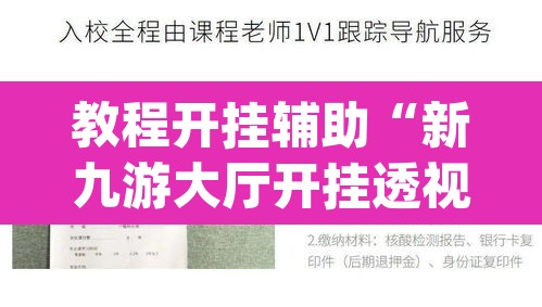教程开挂辅助“新九游大厅开挂透视软件”(透视挂)辅助透视教程