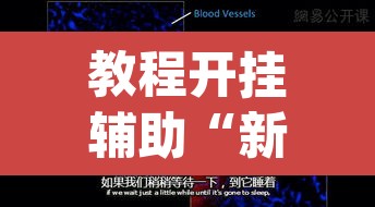 教程开挂辅助“新九游大厅开挂透视软件”(透视挂)辅助透视教程
